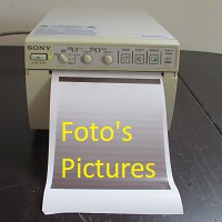 pictures